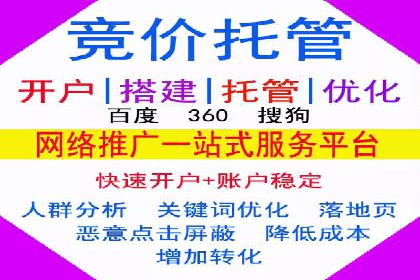 SEM托管服务，成功案例见证转化奇迹
